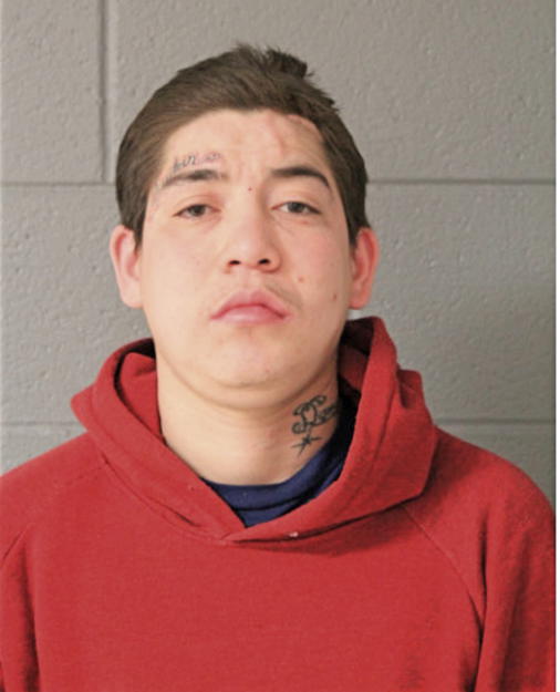ERIC FLORES, Cook County, Illinois