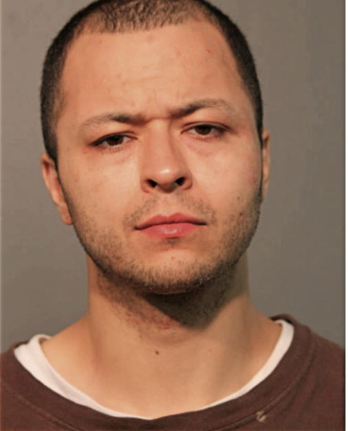 JOVANY FLORES, Cook County, Illinois