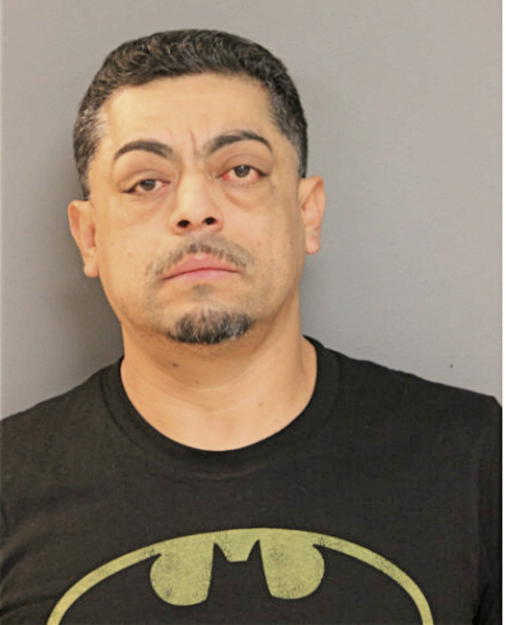 INDEL B GARCIA, Cook County, Illinois