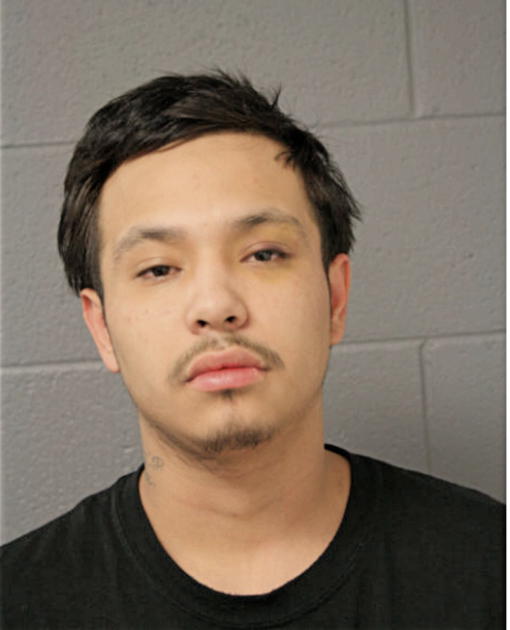WILLIE GONZALEZ, Cook County, Illinois
