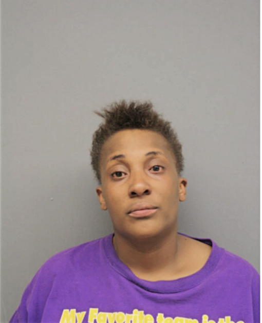 THERESA M HAYES, Cook County, Illinois