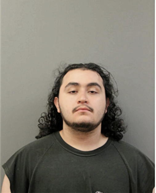 JUAN A HERNANDEZ JR, Cook County, Illinois