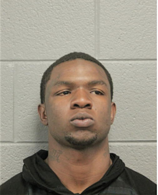 TERRANCE A JOHNSON, Cook County, Illinois