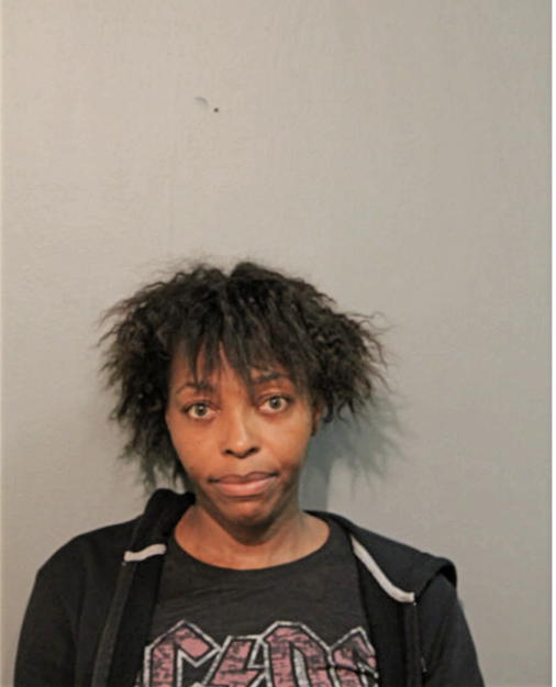 LAKISHA L JONES, Cook County, Illinois