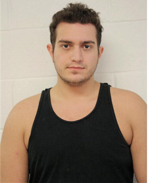 JOHN P KALAMARIS, Cook County, Illinois