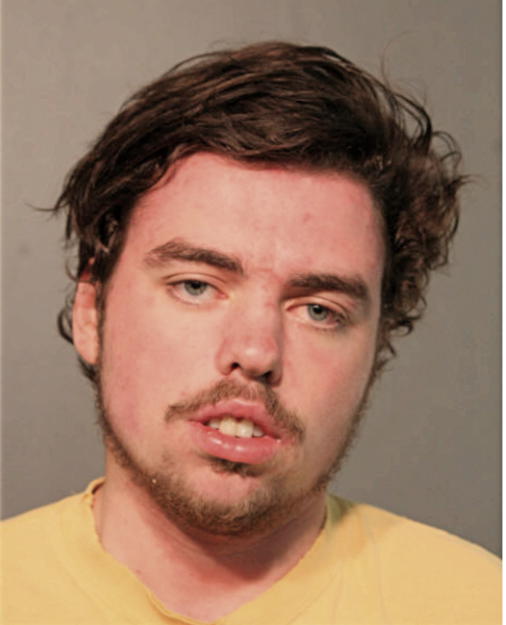 SEAN C KING, Cook County, Illinois