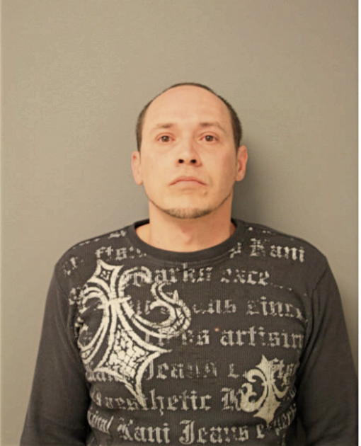 CARLOS M LUNA-HERNANDEZ, Cook County, Illinois