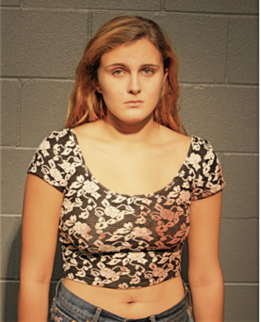 BRITTNEY R MITCHELL, Cook County, Illinois