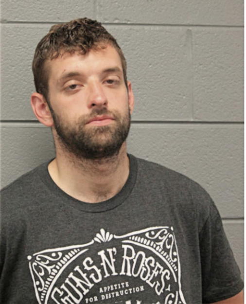 MATTHEW R PIPPIN, Cook County, Illinois