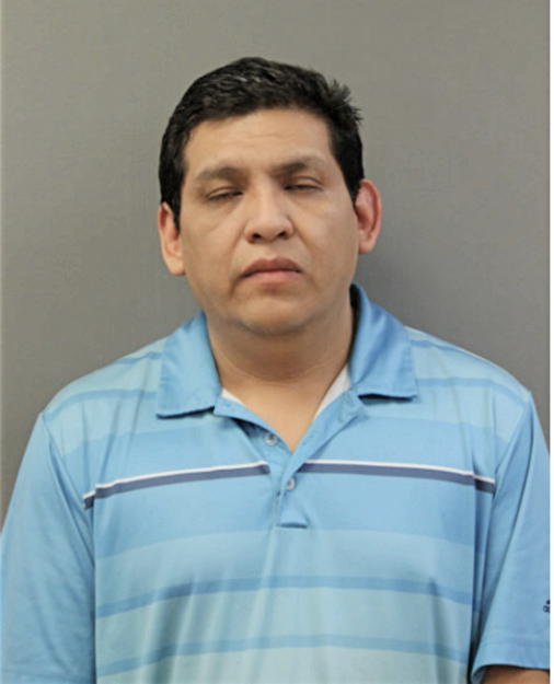OSCAR RODRIGUEZ, Cook County, Illinois