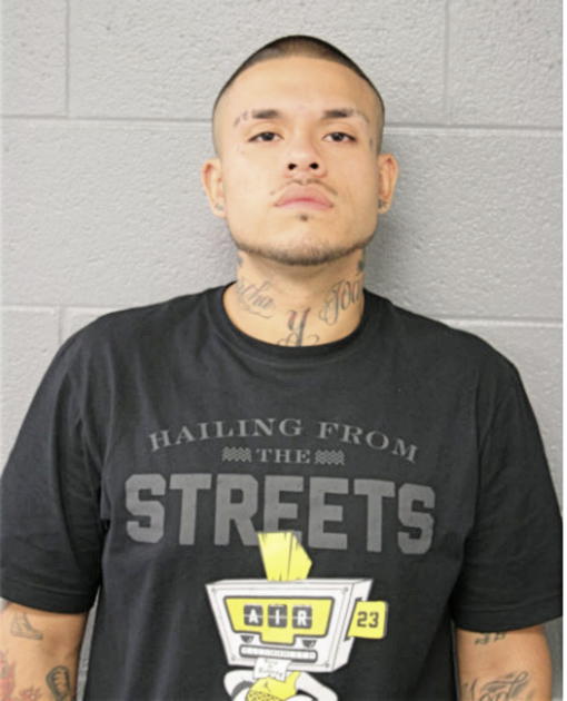VICTOR ROSAS, Cook County, Illinois