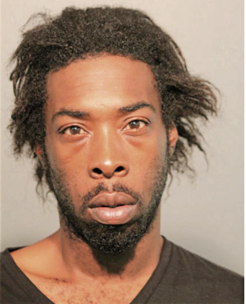 BRANDON S ROUNDTREE, Cook County, Illinois