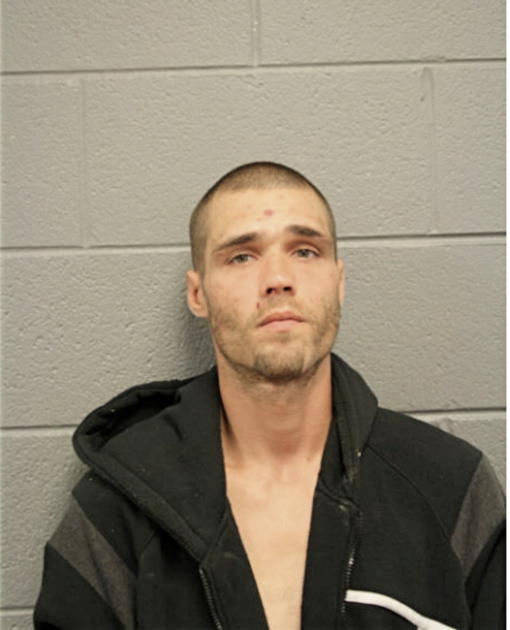 GREGORY S STRAUSS, Cook County, Illinois
