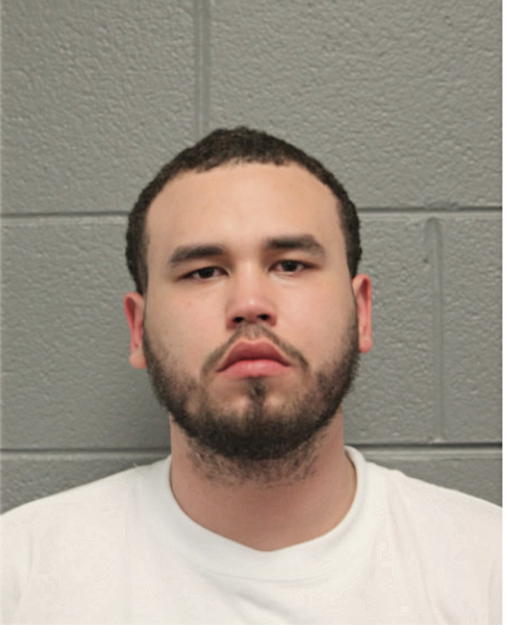 BERNARD J STROWDER, Cook County, Illinois