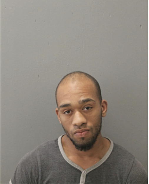 MICHAEL A WASHINGTON, Cook County, Illinois