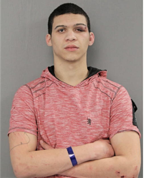NICO K WATKINS, Cook County, Illinois