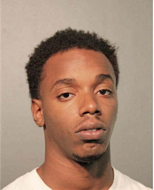CHRISTOPHER K YOUNG, Cook County, Illinois