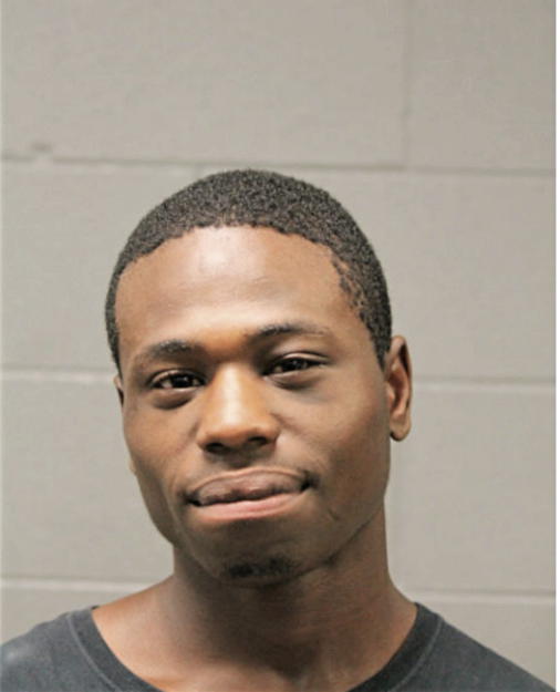DAVID T YOUNG, Cook County, Illinois
