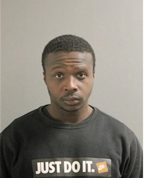 LOUIS E DAVIS, Cook County, Illinois