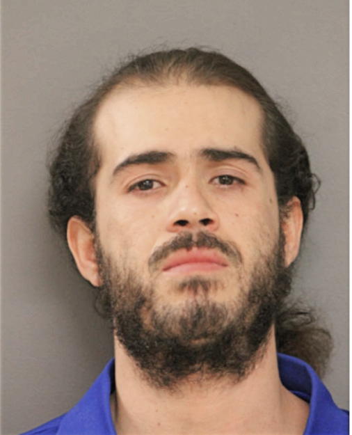 JOHNNY A FLORES, Cook County, Illinois