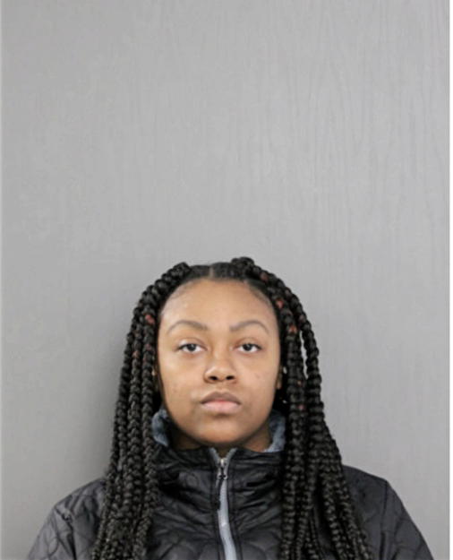 ADRIANA M HUDSON, Cook County, Illinois