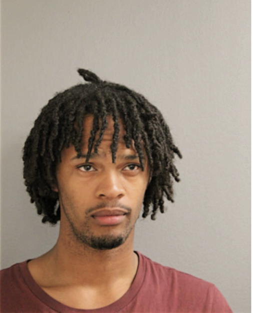 NATHANIEL K HUDSON, Cook County, Illinois