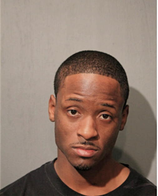 BRIAN R HUNT, Cook County, Illinois