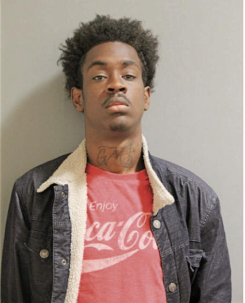 AARON L JACKSON, Cook County, Illinois