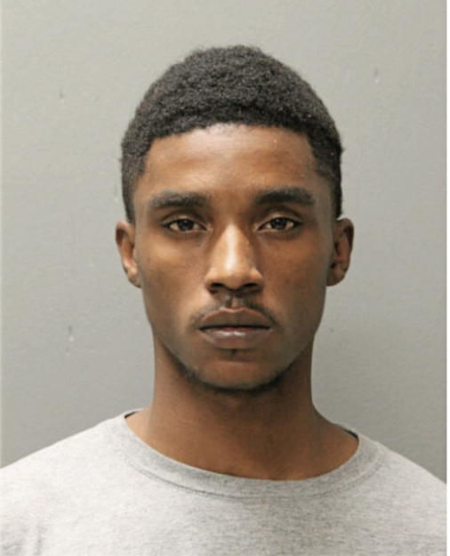 GREG P LEE, Cook County, Illinois