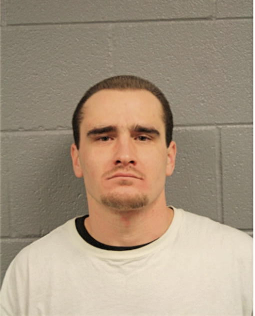 JOHN M PLUSA, Cook County, Illinois