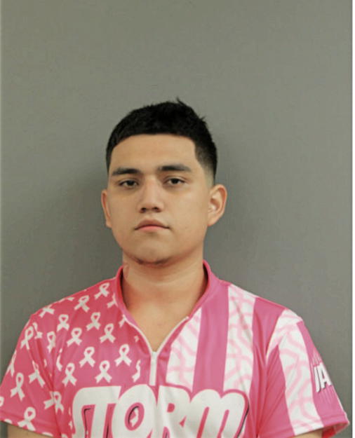 ALFREDO REYES, Cook County, Illinois