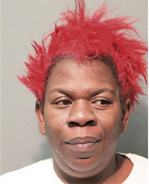 ELAINE RICE, Cook County, Illinois
