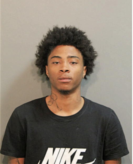 PARIS RIVERA, Cook County, Illinois