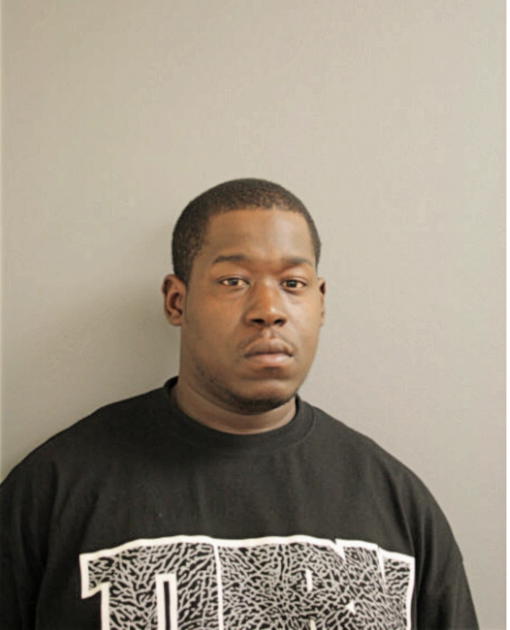 ANDREW SECTION, Cook County, Illinois