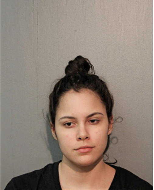 MICIELO C VILLAGOMEZ, Cook County, Illinois