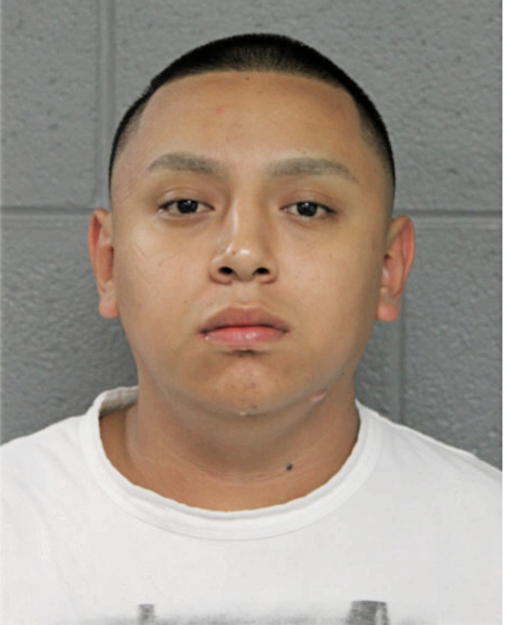 ROGER VILLALOBOS, Cook County, Illinois