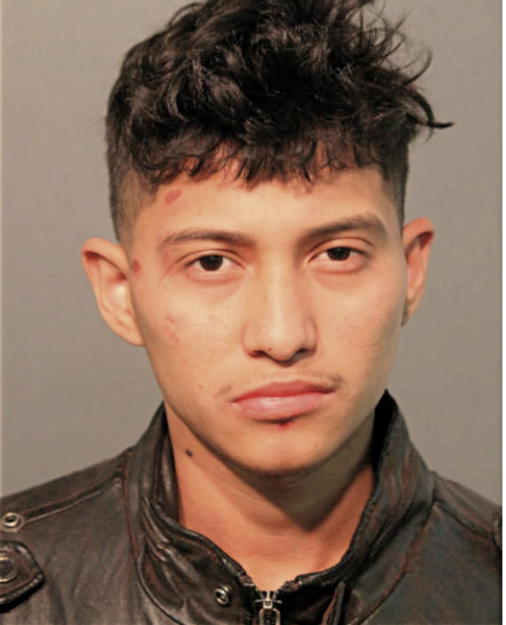 ANDRES ZARATE, Cook County, Illinois