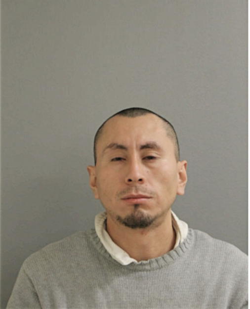 SILVERIO ALPIZAR, Cook County, Illinois