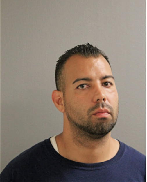 ANGEL L BORRERO, Cook County, Illinois