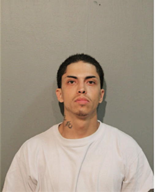 MICHAEL BRAVO, Cook County, Illinois