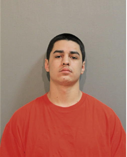 NATHAN C CARRASCO, Cook County, Illinois