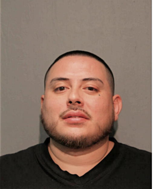 NOEL R CASTILLO, Cook County, Illinois