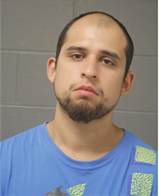 DAMIAN GONZALEZ, Cook County, Illinois