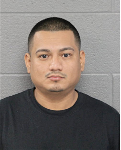 JOEL GONZALEZ, Cook County, Illinois