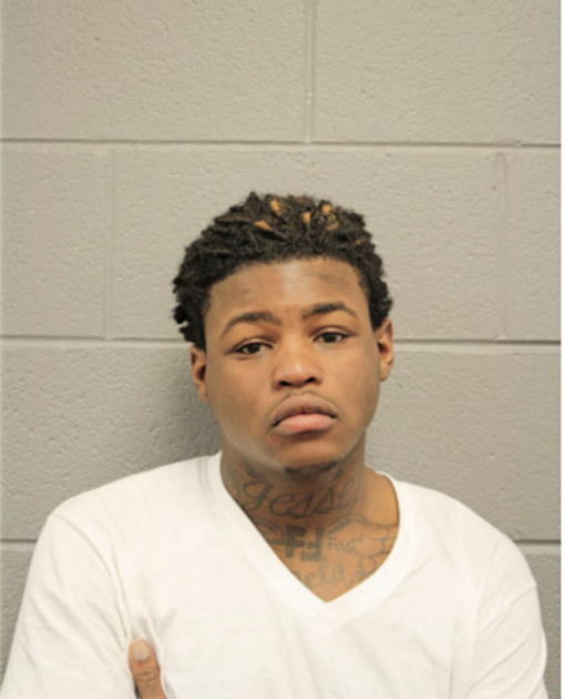 JESSE L HARRISON, Cook County, Illinois