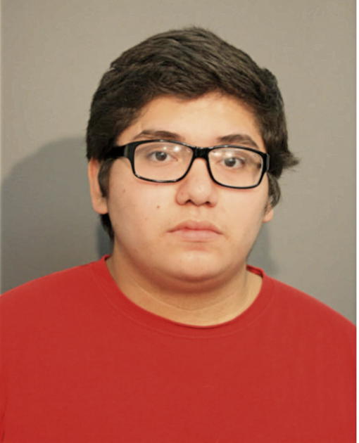 MARTIN HERNANDEZ, Cook County, Illinois