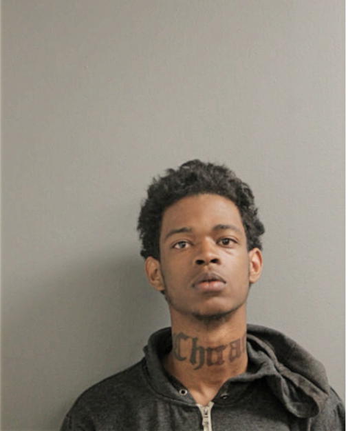 DONOVAN G JOHNS, Cook County, Illinois