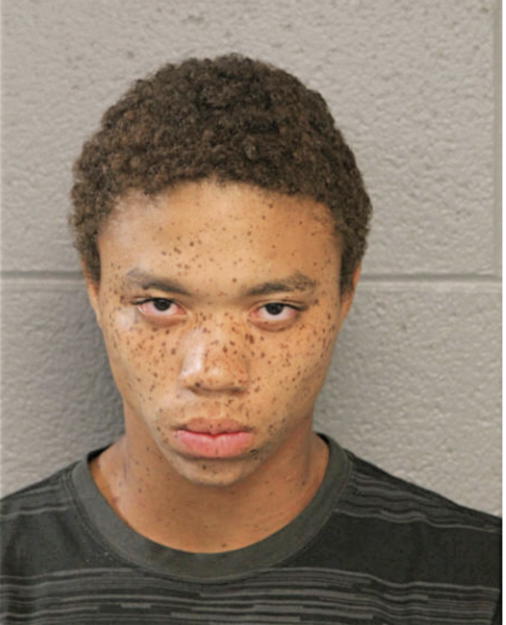 JALON LESURE, Cook County, Illinois