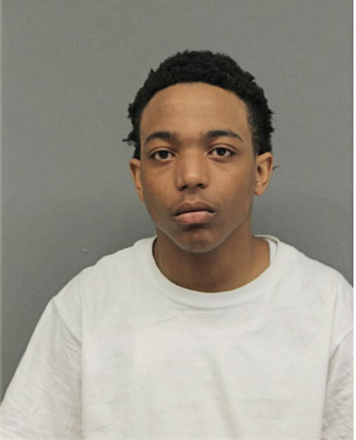 TRISTIAN T LOTT, Cook County, Illinois