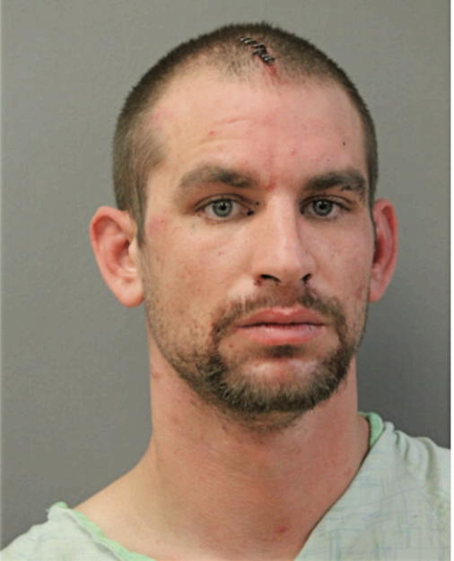 STEVEN C LUTHER, Cook County, Illinois